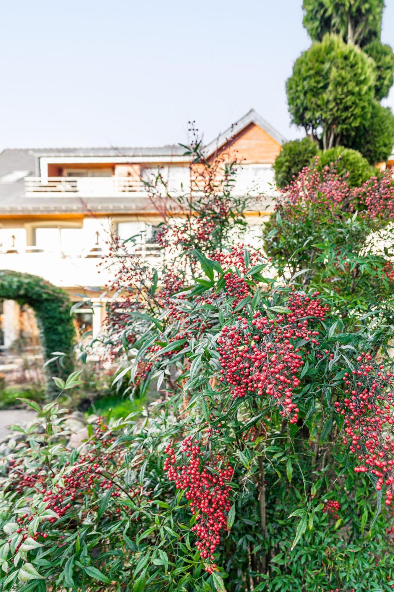 Logis L'Auberge - Maison Glenn Anna Saint Anne-dʼAuray 외부 사진
